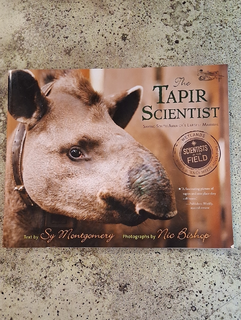The Tapir Scientist Saving South Americas Largest Mammal Scientist In The Field